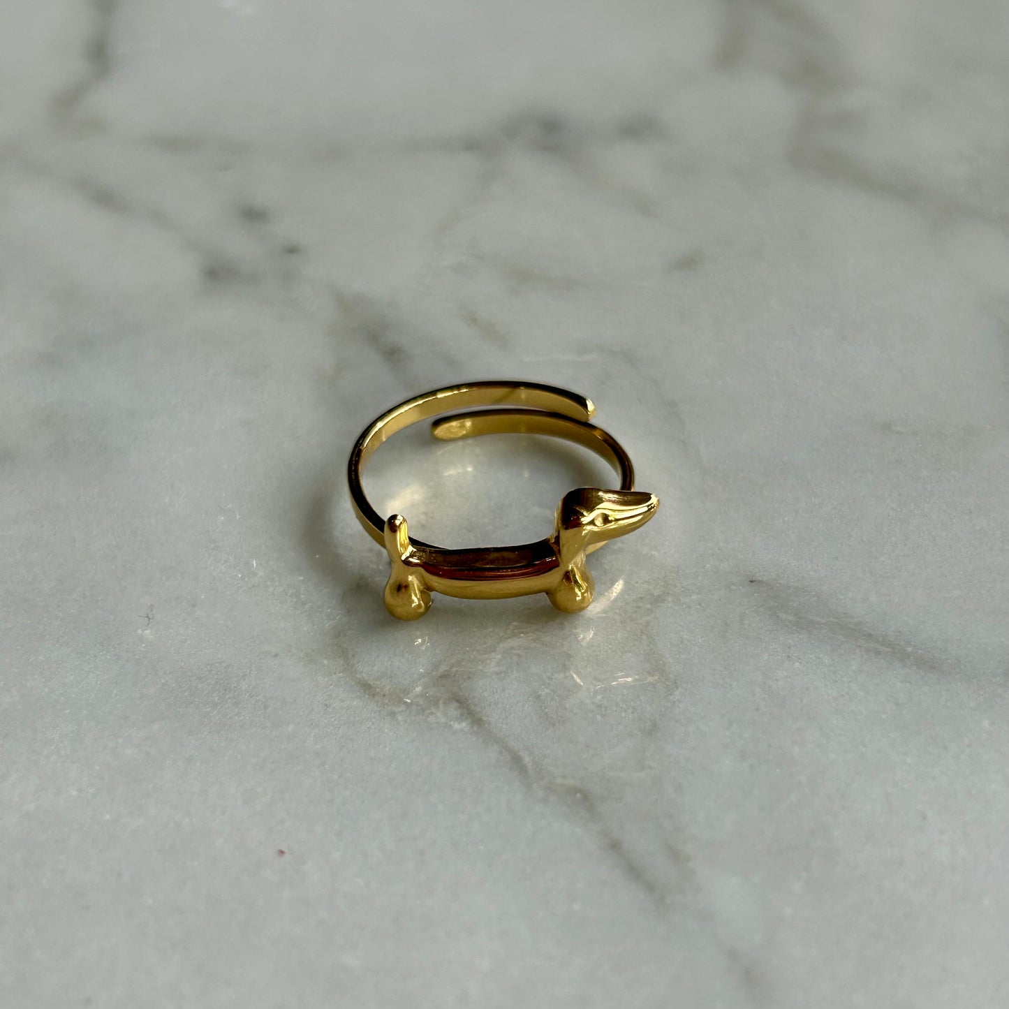 Dog ring